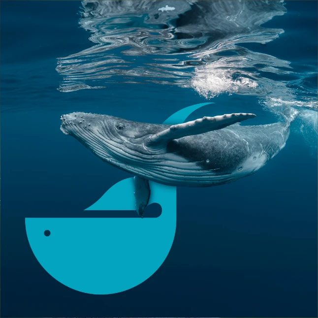 La ballena llena