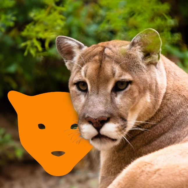 valores del puma