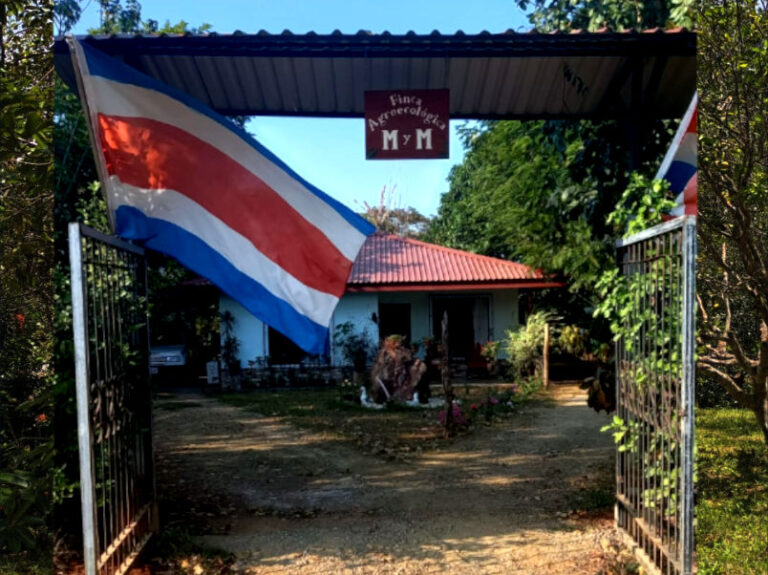La finca M y M es libre de químicos y orgánica