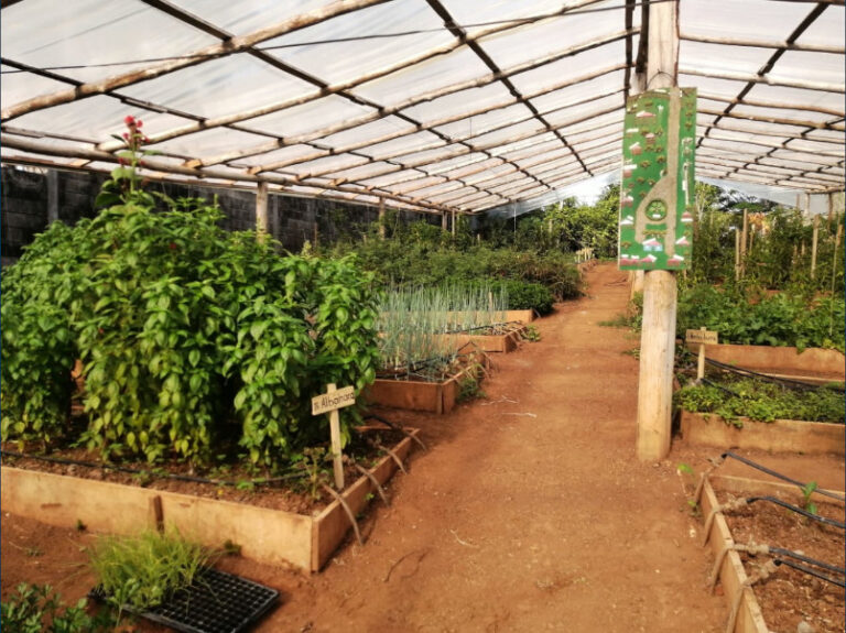 Vivero de la Finca Sano y Verde