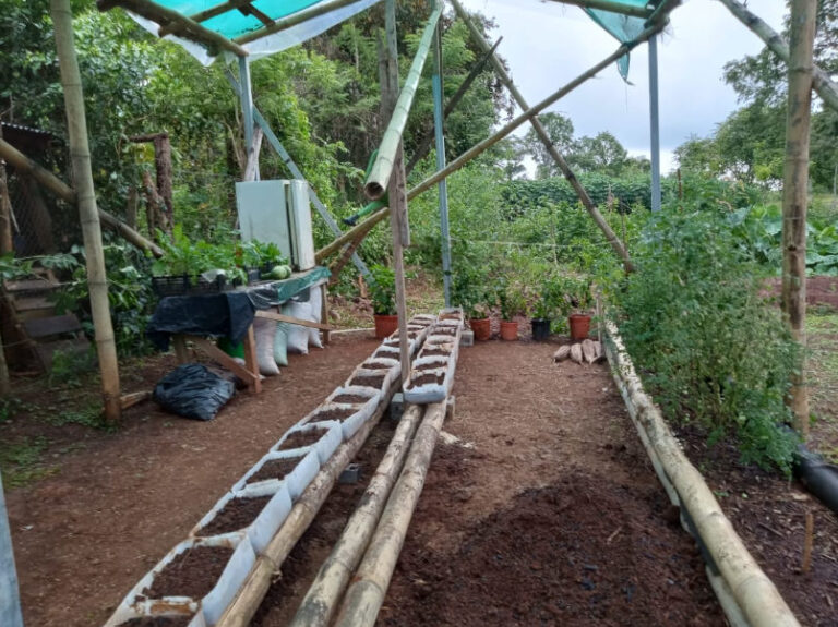 Finca agroecológica M y M en Cóbano