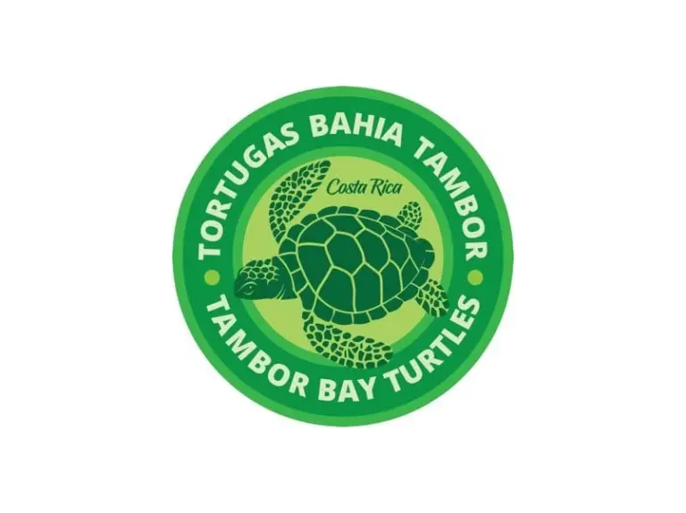 Logo tortugas