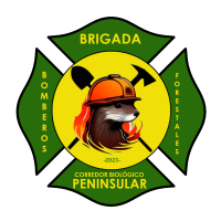 logobrigadafn logobrigadafn